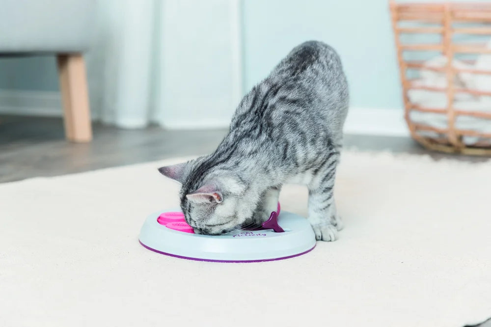 Cat Activity Flip Board
