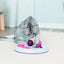 Cat Activity Flip Board