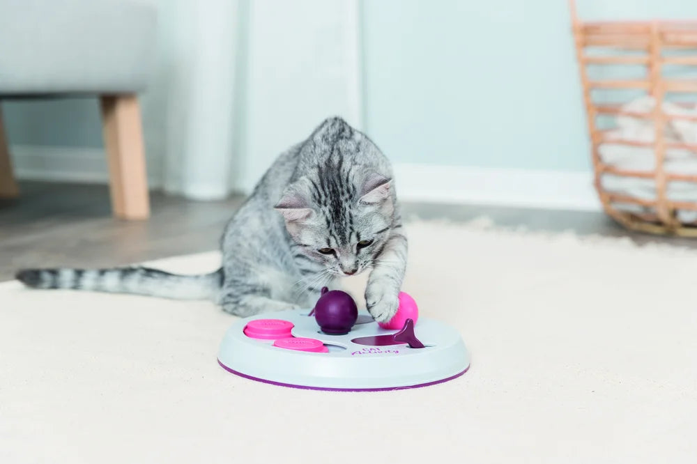 Cat Activity Flip Board