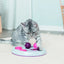 Cat Activity Flip Board