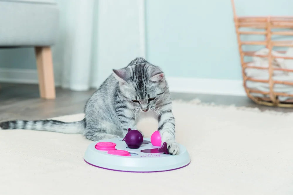 Cat Activity Flip Board