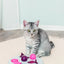 Cat Activity Flip Board