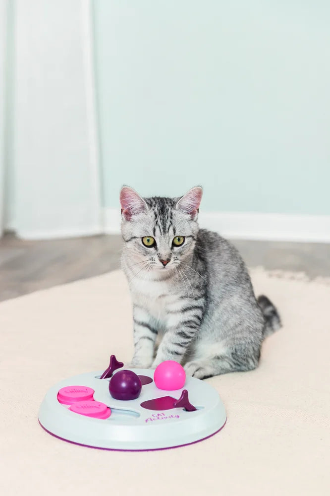 Cat Activity Flip Board
