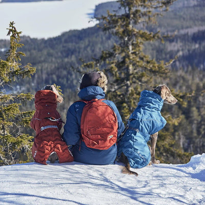 Hurtta Hurtta Extreme Warmer III ECO Bilberry - Handla på Gaston