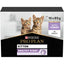 PURINA® PRO PLAN® Kitten Healthy Start