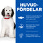 Hill's Science Plan Hypoallergenic Adult Large Breed torrfoder för hundar med lax