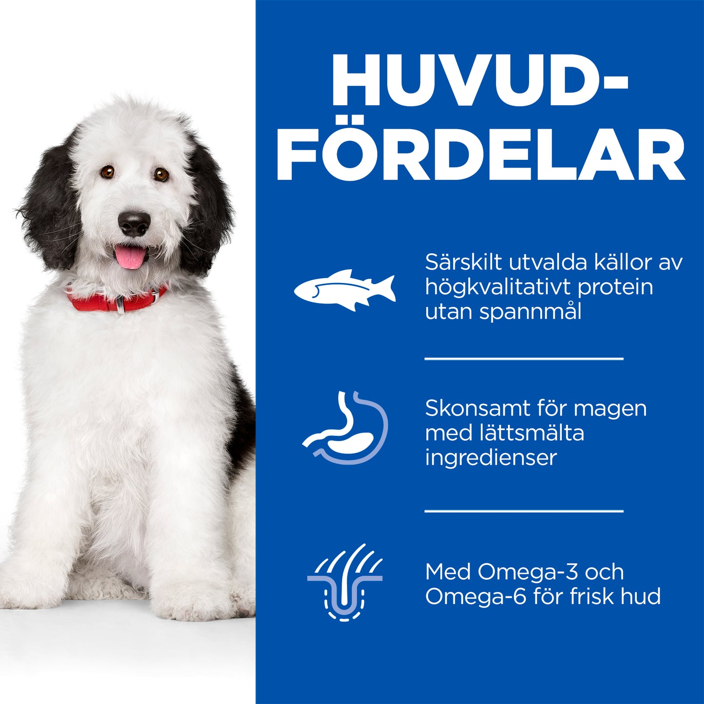 Hill's Science Plan Hypoallergenic Adult Large Breed torrfoder för hundar med lax