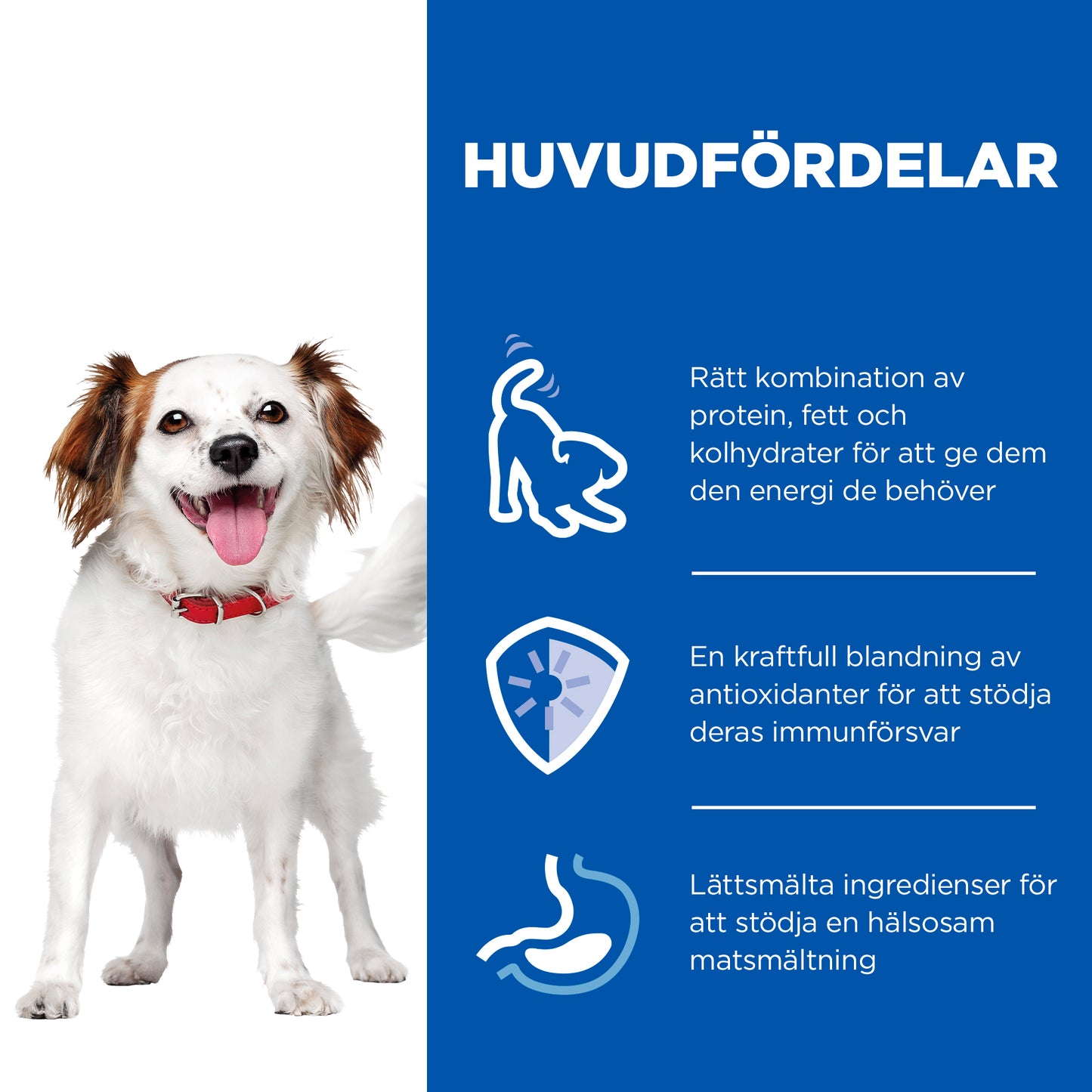 Hill's Science Plan Small & Mini Adult våtfoder till hundar med kyckling