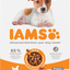 Iams Dog Puppy Small & Medium Chicken