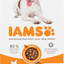 Iams Dog Adult Small & Medium Chicken