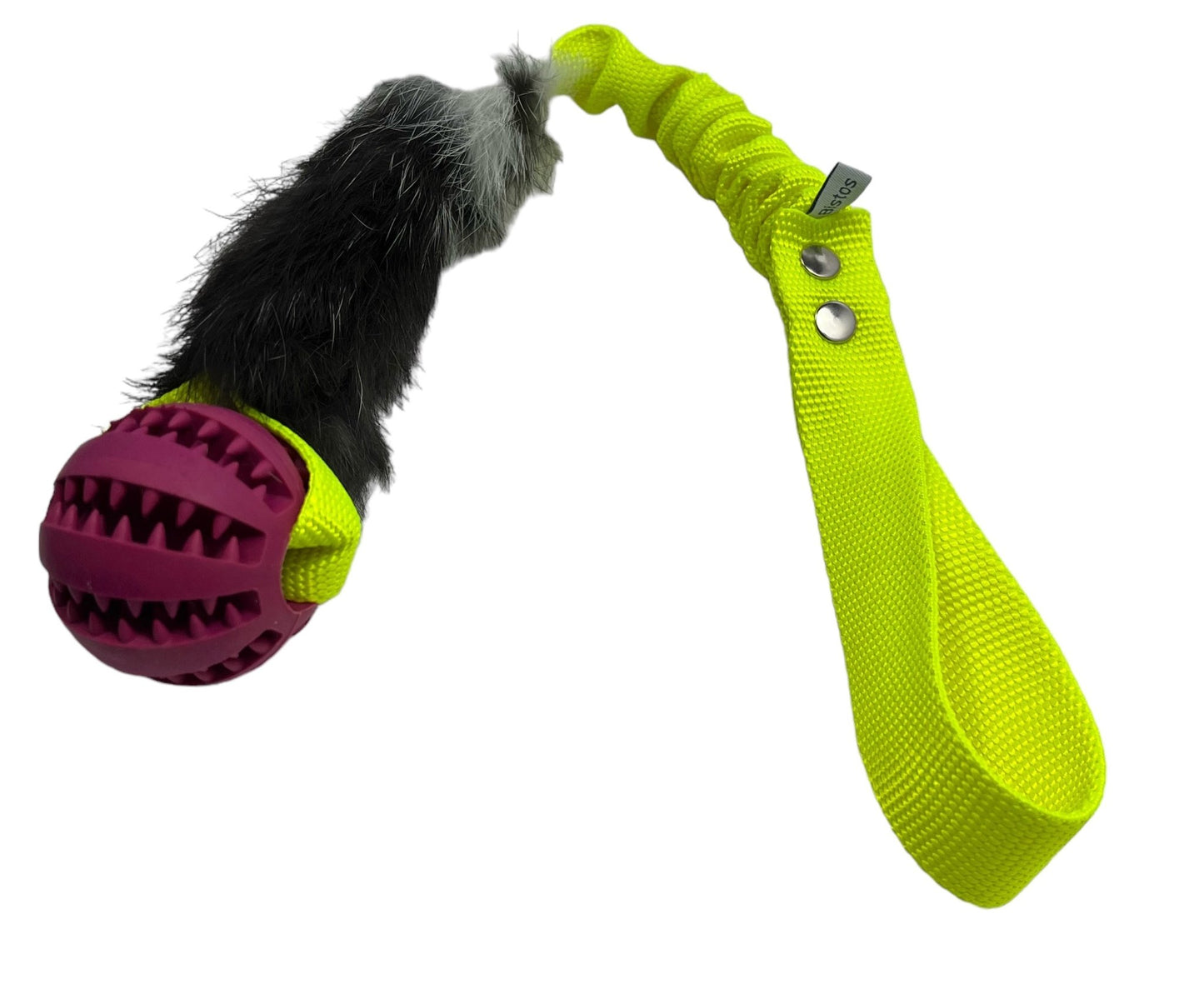 Bistos träningsleksak Ziva - Handla på Gaston