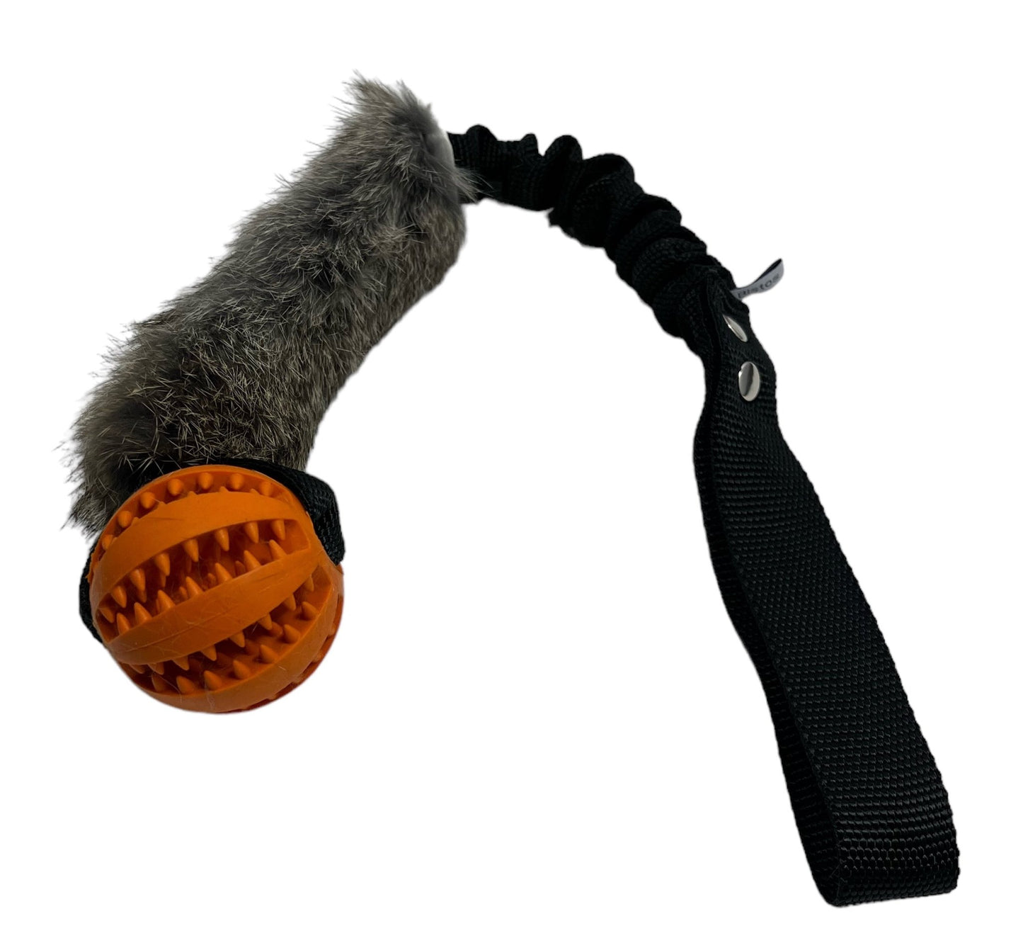 Bistos träningsleksak Ziva - Handla på Gaston