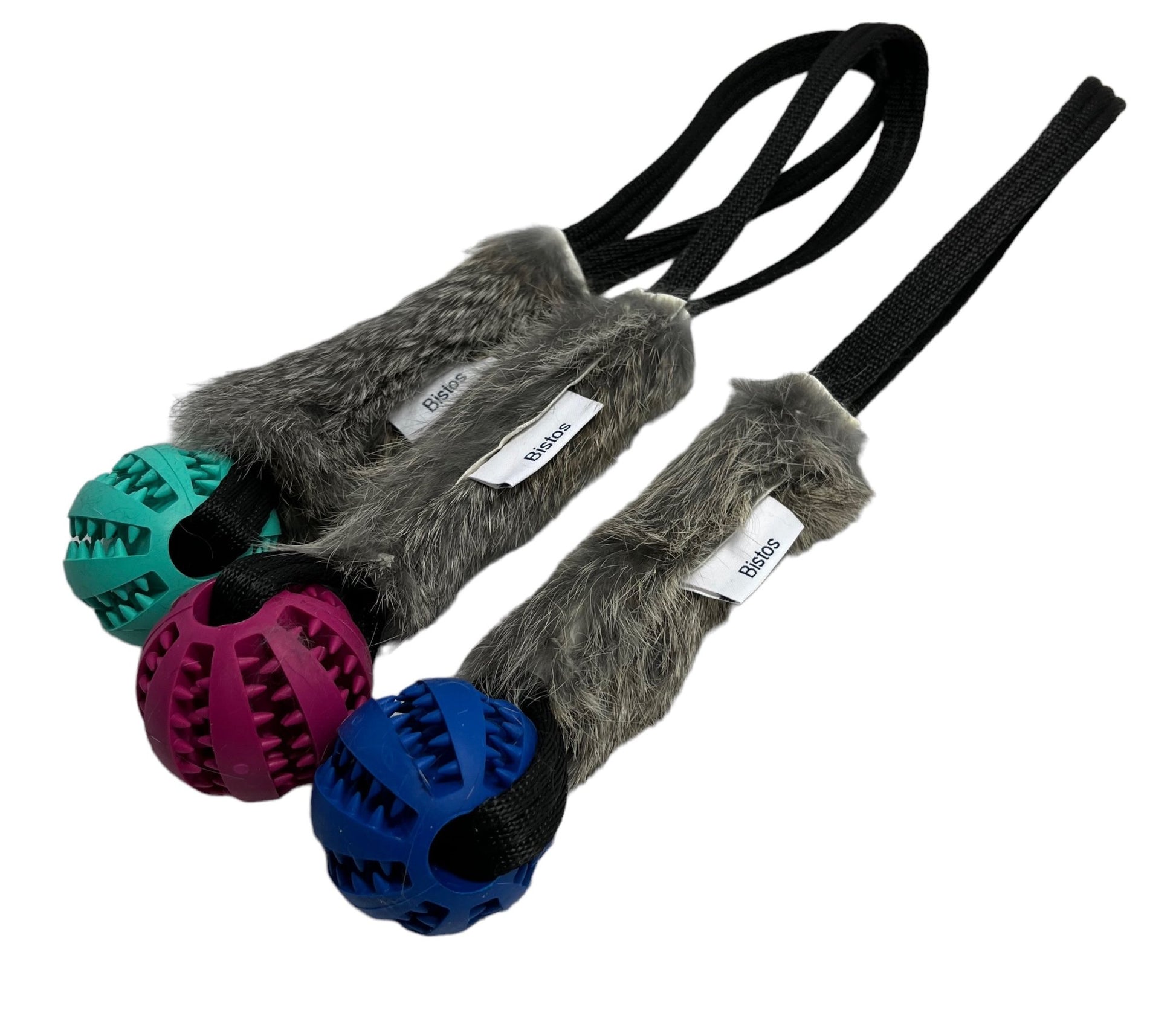 Bistos Träningsleksak Rex - Handla på Gaston