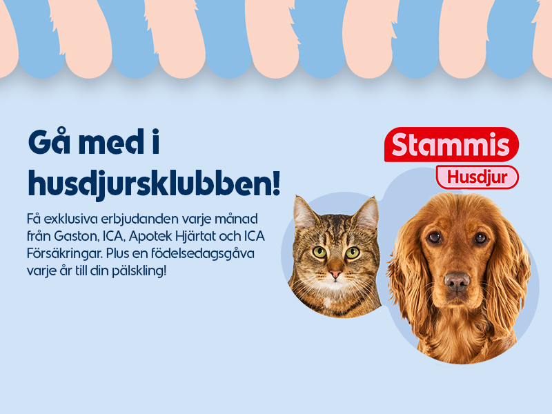 Banner image 1