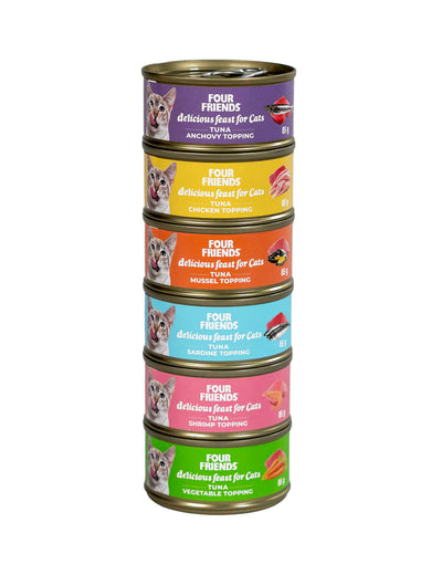 FourFriends Mix 6-pack