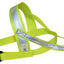 ALAC Sele Reflex Neongul 1