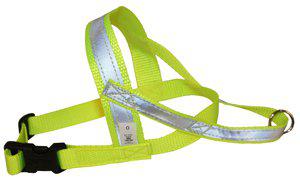 ALAC Sele Reflex Neongul 1