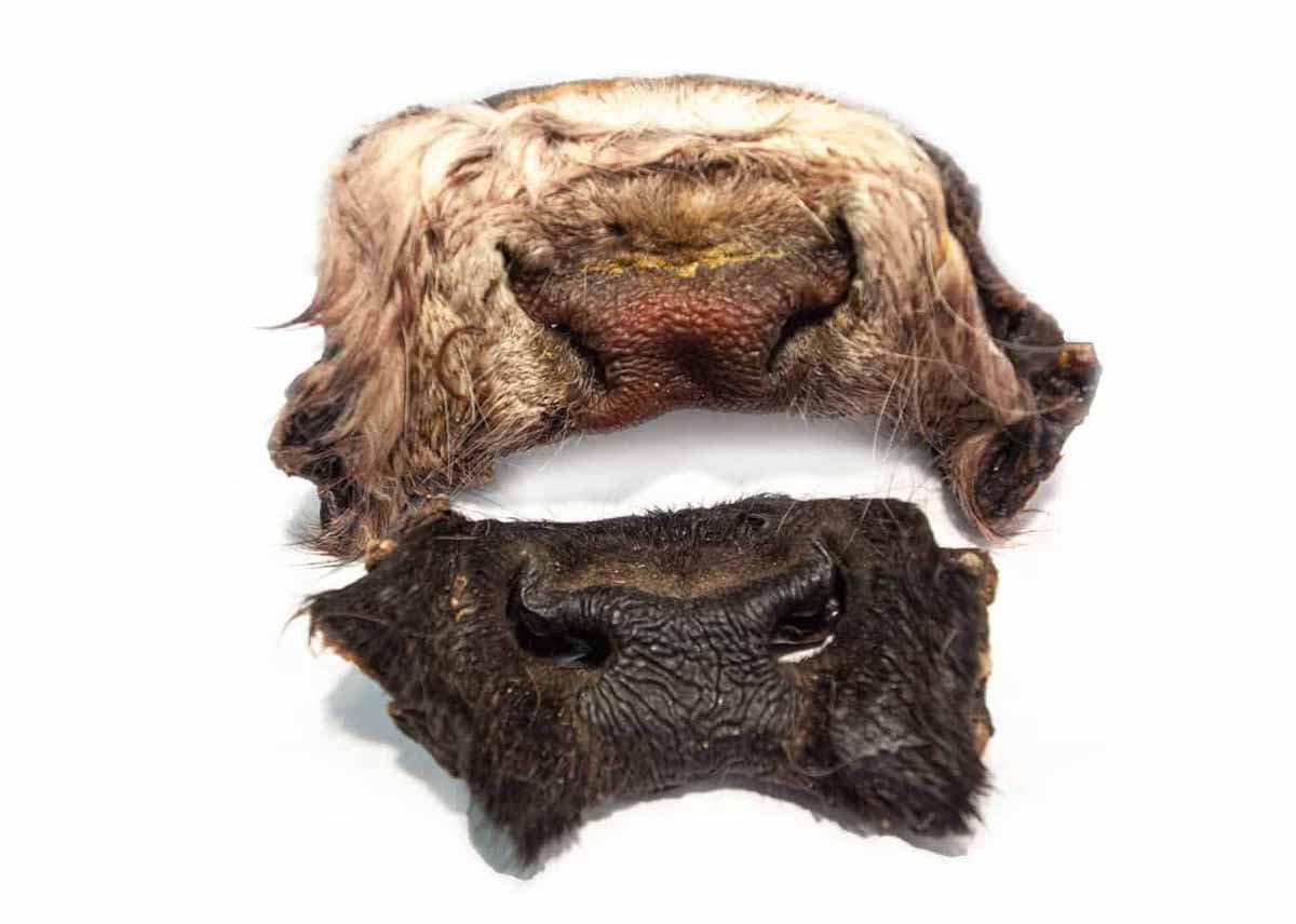 Emmzo Oxmule Med Päls - Handla på Gaston