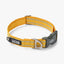 Dog Copenhagen Urban Style™ Collar