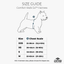 Dog Copenhagen Comfort Walk Go™ Harness