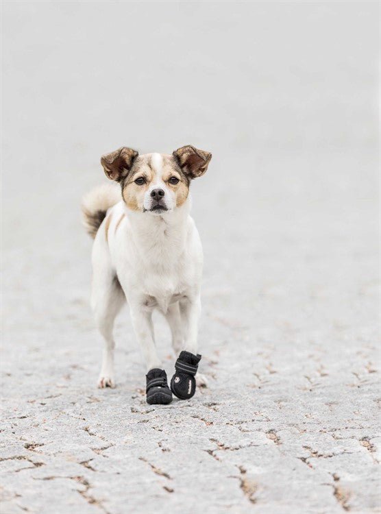 Trixie Hundskor Walker Active 2 - pack - Handla på Gaston