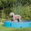 Trixie Hundpool Petrol