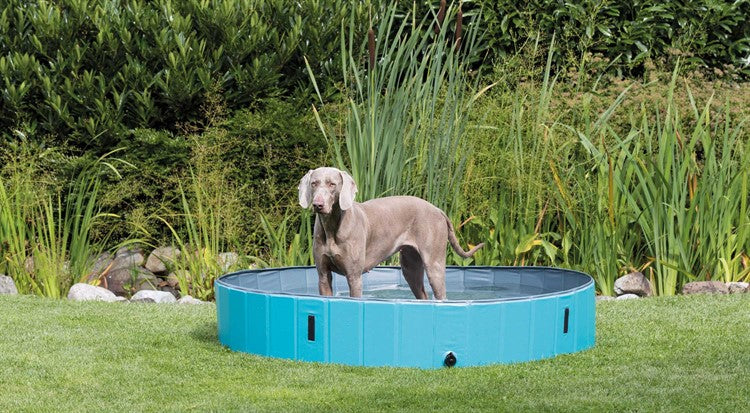Trixie Hundpool Petrol