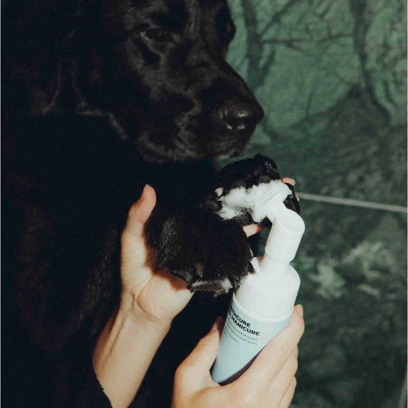 Spawday Weekly Routine - Wash and Care Kit - Handla på Gaston