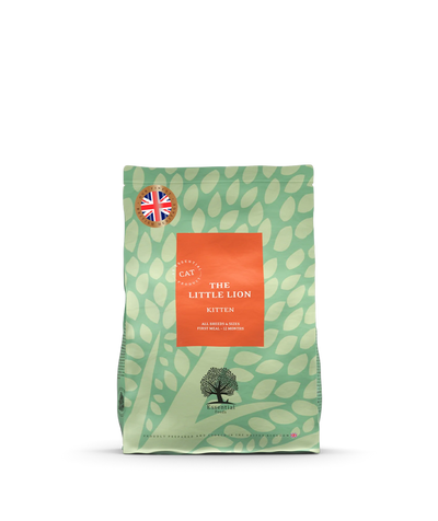 Essential Our Little Lion