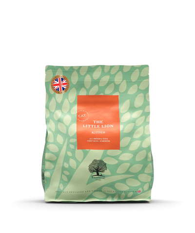 Essential Our Little Lion