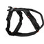 Non - stop Dogwear Line Harness 5.0 - Handla på Gaston