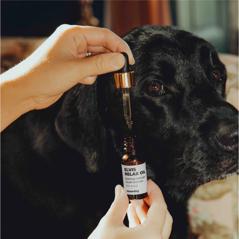 Spawday Elvis Spaw Kit - The Complete Dog Care Ritual - Handla på Gaston