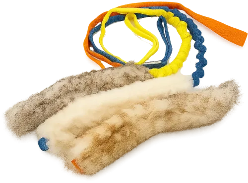 Banner image 1