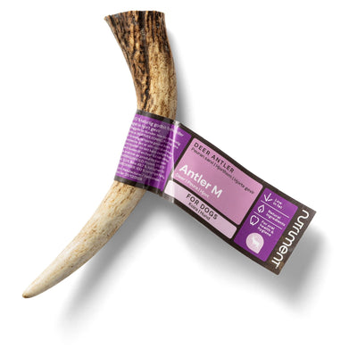 Nutriment Antler - Handla på Gaston