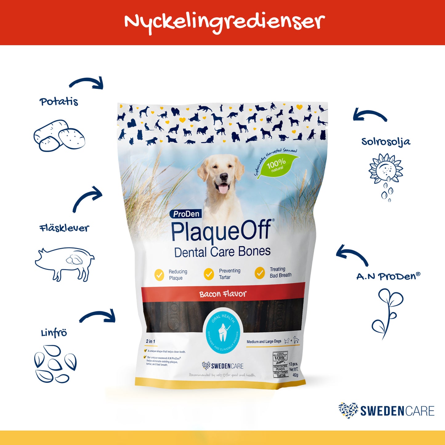 ProDen PlaqueOff® Dental Care Bones Bacon