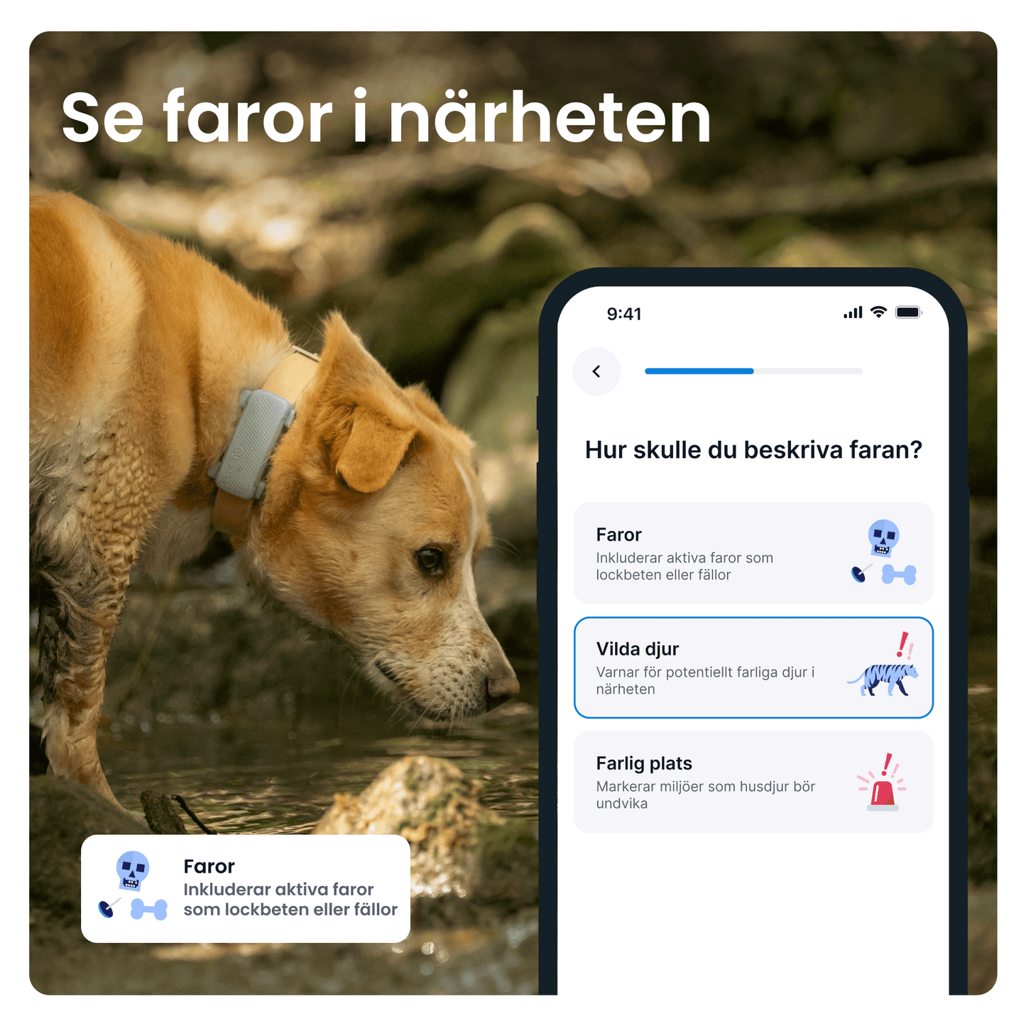 Tractive DOG 6 - Handla på Gaston