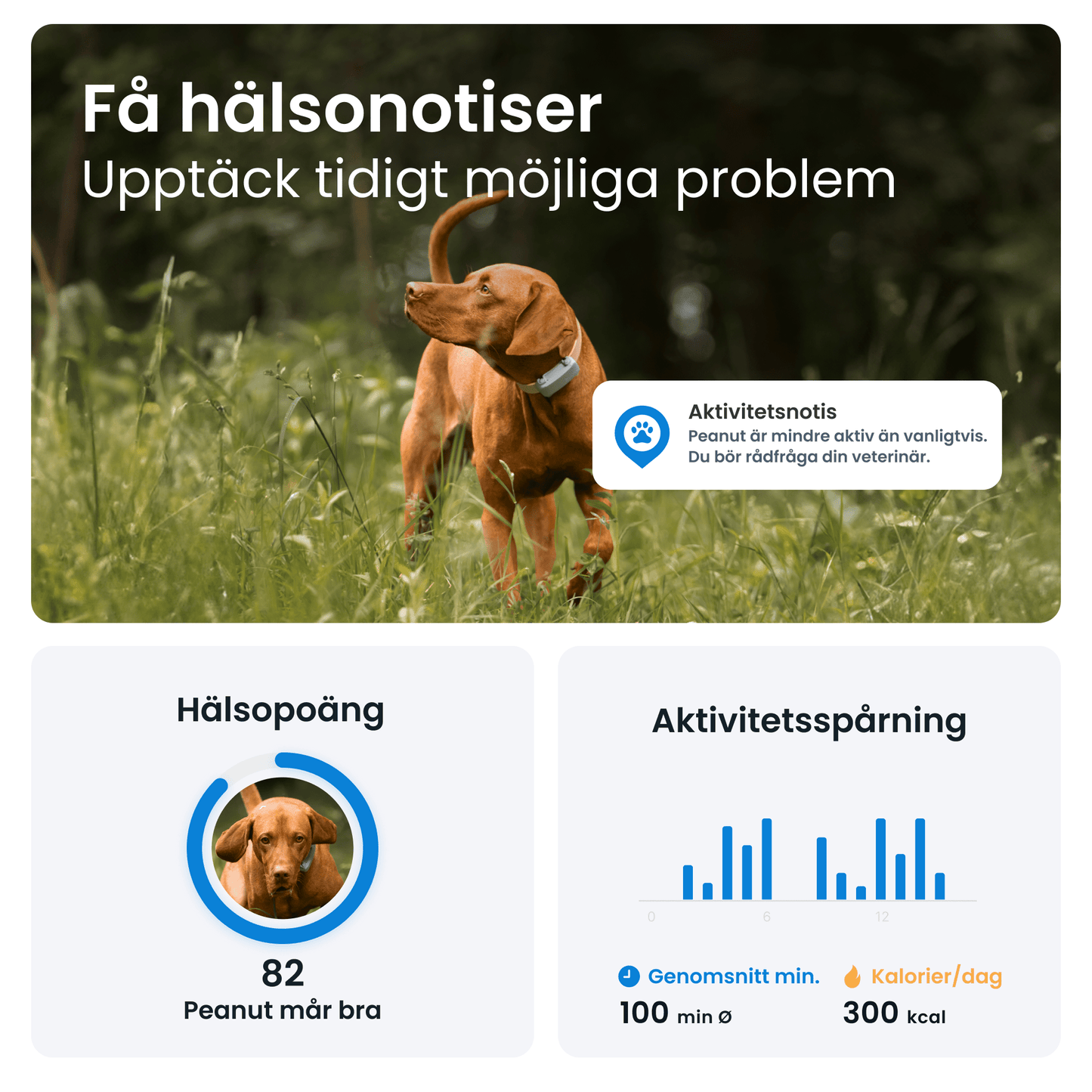 Tractive DOG 6 - Handla på Gaston