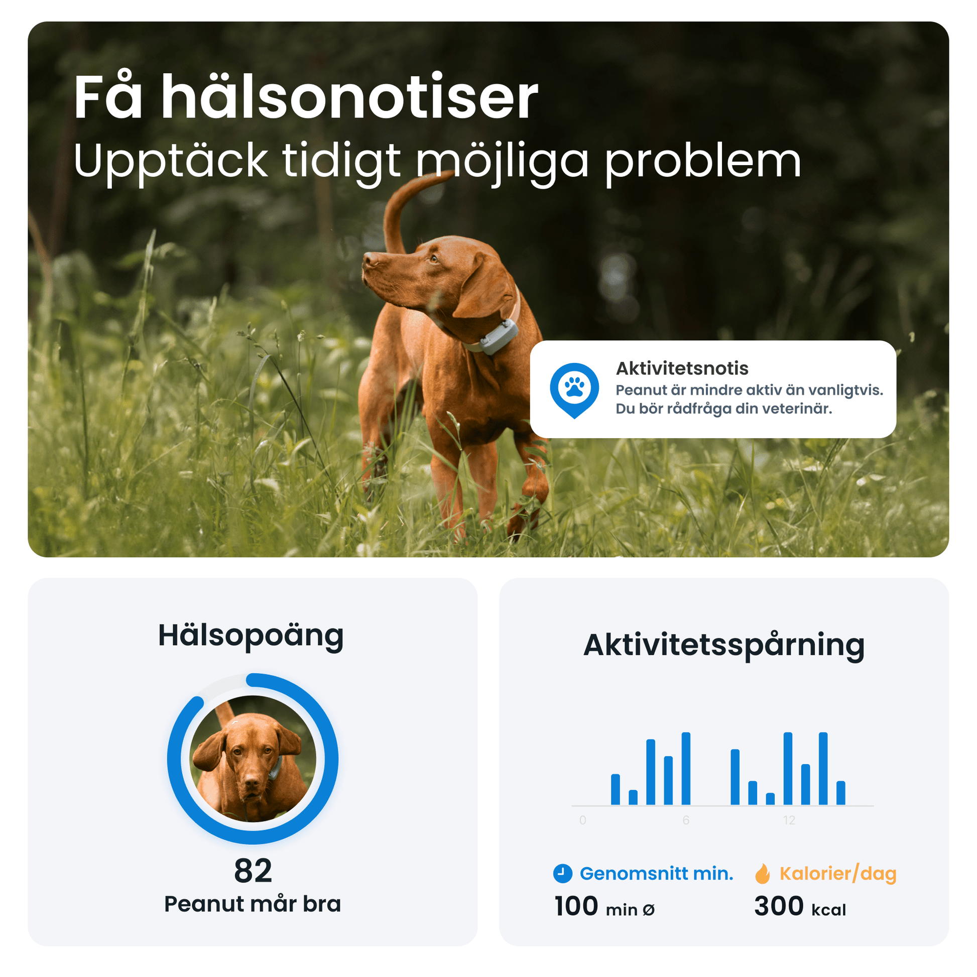 Tractive DOG 6 - Handla på Gaston