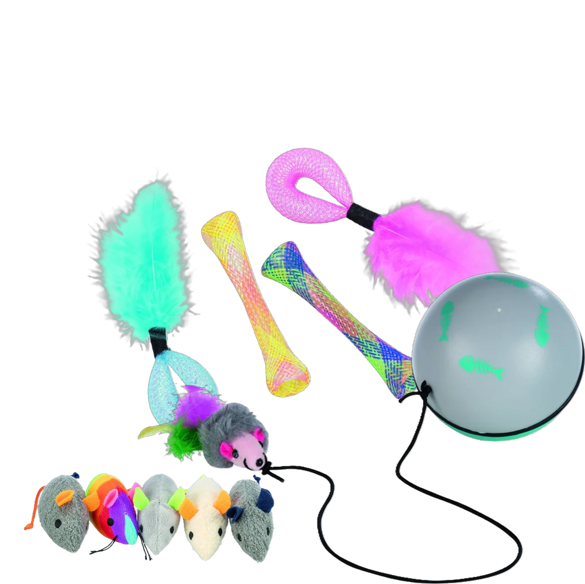 Banner image 1
