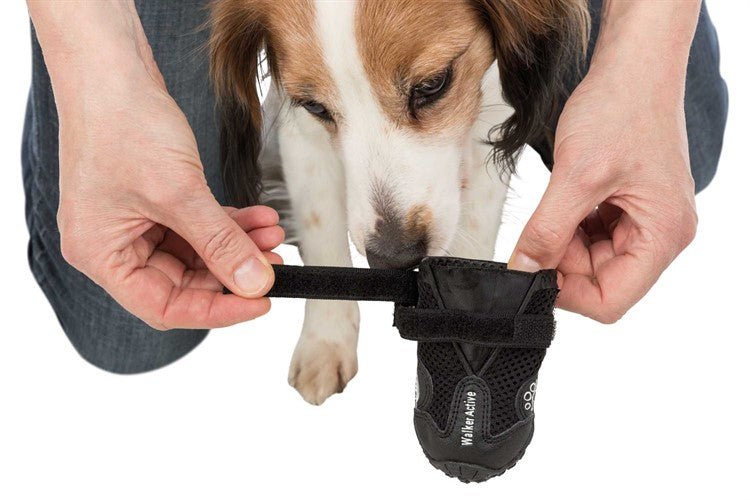 Trixie Hundskor Walker Active 2 - pack - Handla på Gaston