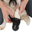 Trixie Hundskor Walker Active 2 - pack - Handla på Gaston