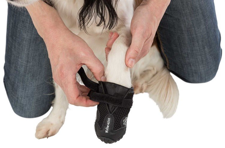 Trixie Hundskor Walker Active 2 - pack - Handla på Gaston