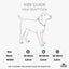 Dog Copenhagen Urban Style™ Collar