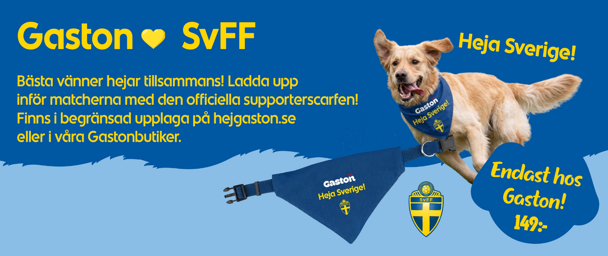 Banner image 1