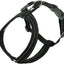 Hurtta Casual Y-harness ECO