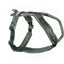 Non - stop Dogwear Line Harness 5.0 - Handla på Gaston