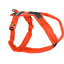 Non - stop Dogwear Line Harness 5.0 - Handla på Gaston