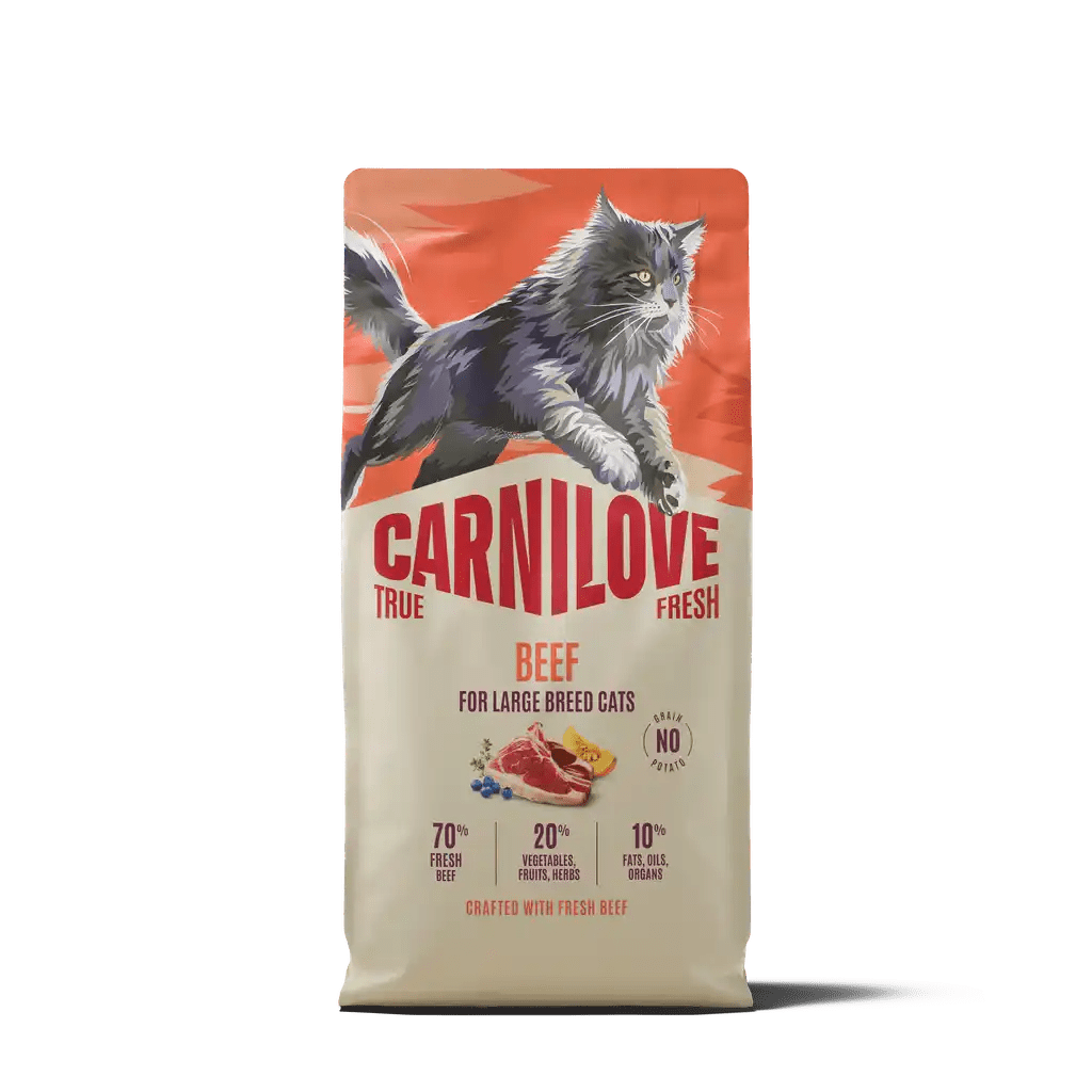 Carnilove True Fresh Cat Dry Beef for Adult Large Breeds - Handla på Gaston
