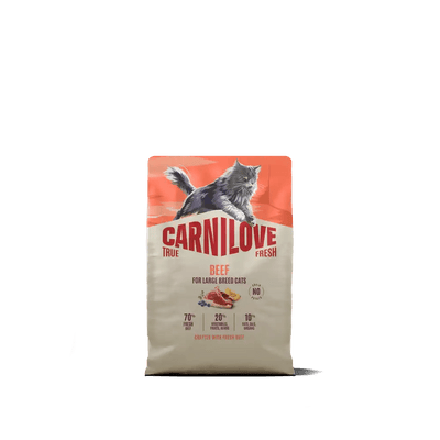 Carnilove True Fresh Cat Dry Beef for Adult Large Breeds - Handla på Gaston