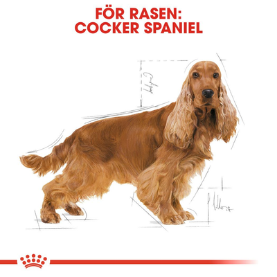 Royal Canin Cocker Adult
